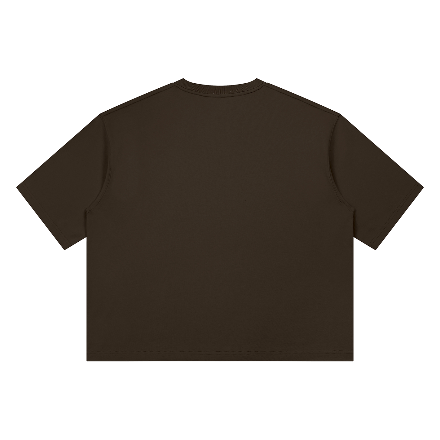 Heavyweight Box Fit “ CHRIS BROWN.” Ter