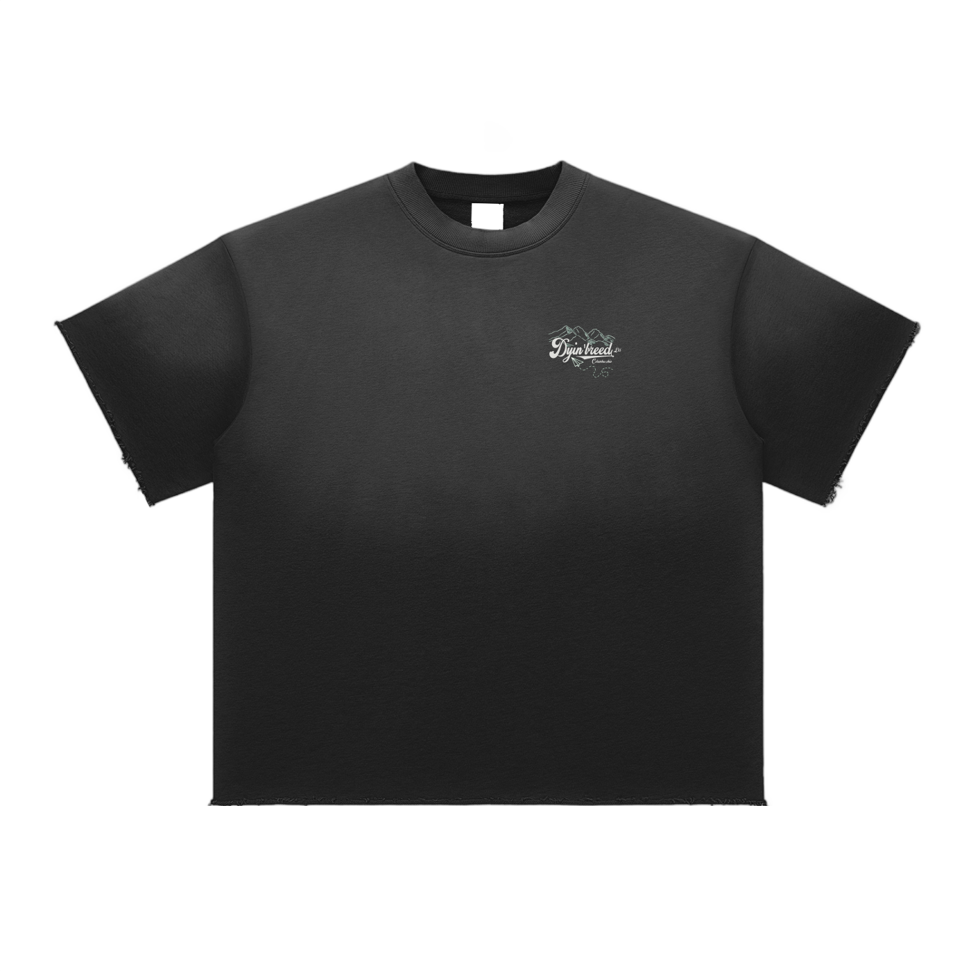 Sun Fade "ALL PRAISE." Raw Edge Tee