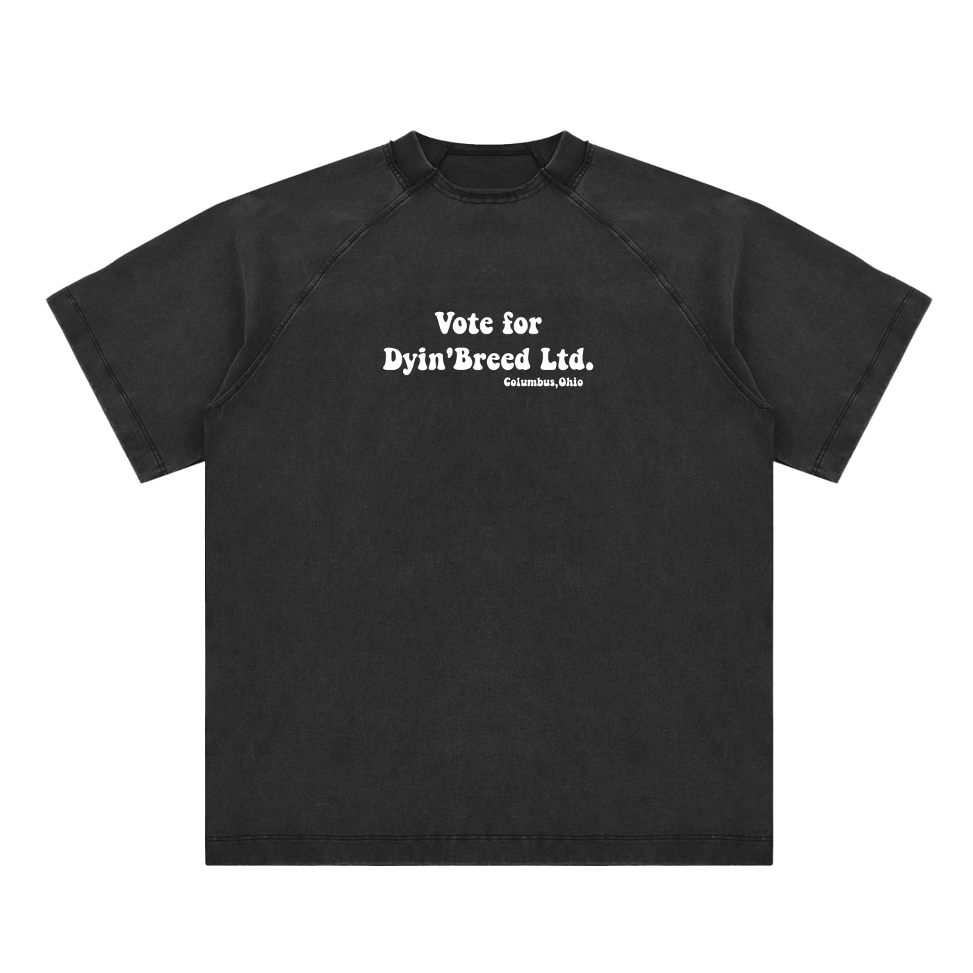 Vintage "VOTE FOR DB." Raglan T-Shirt
