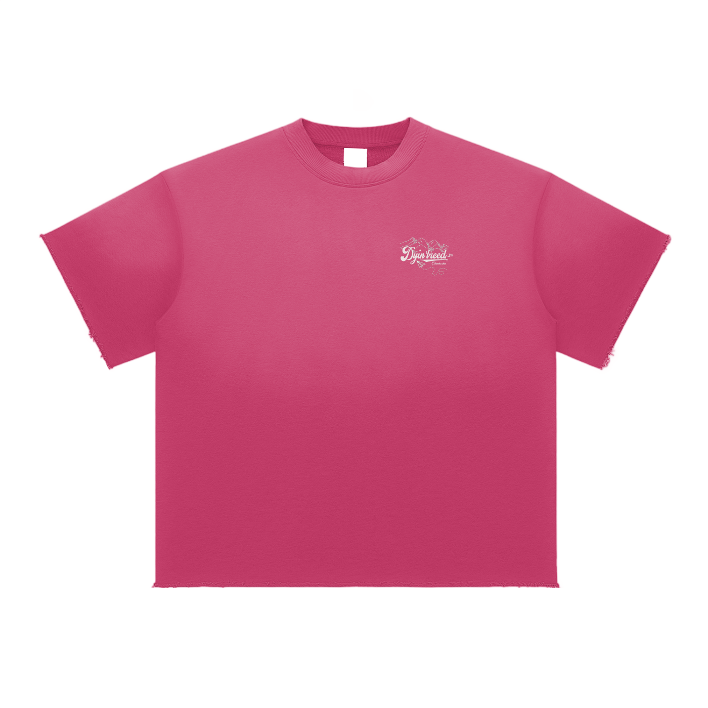Sun Fade "ALL PRAISE." Raw Edge Tee