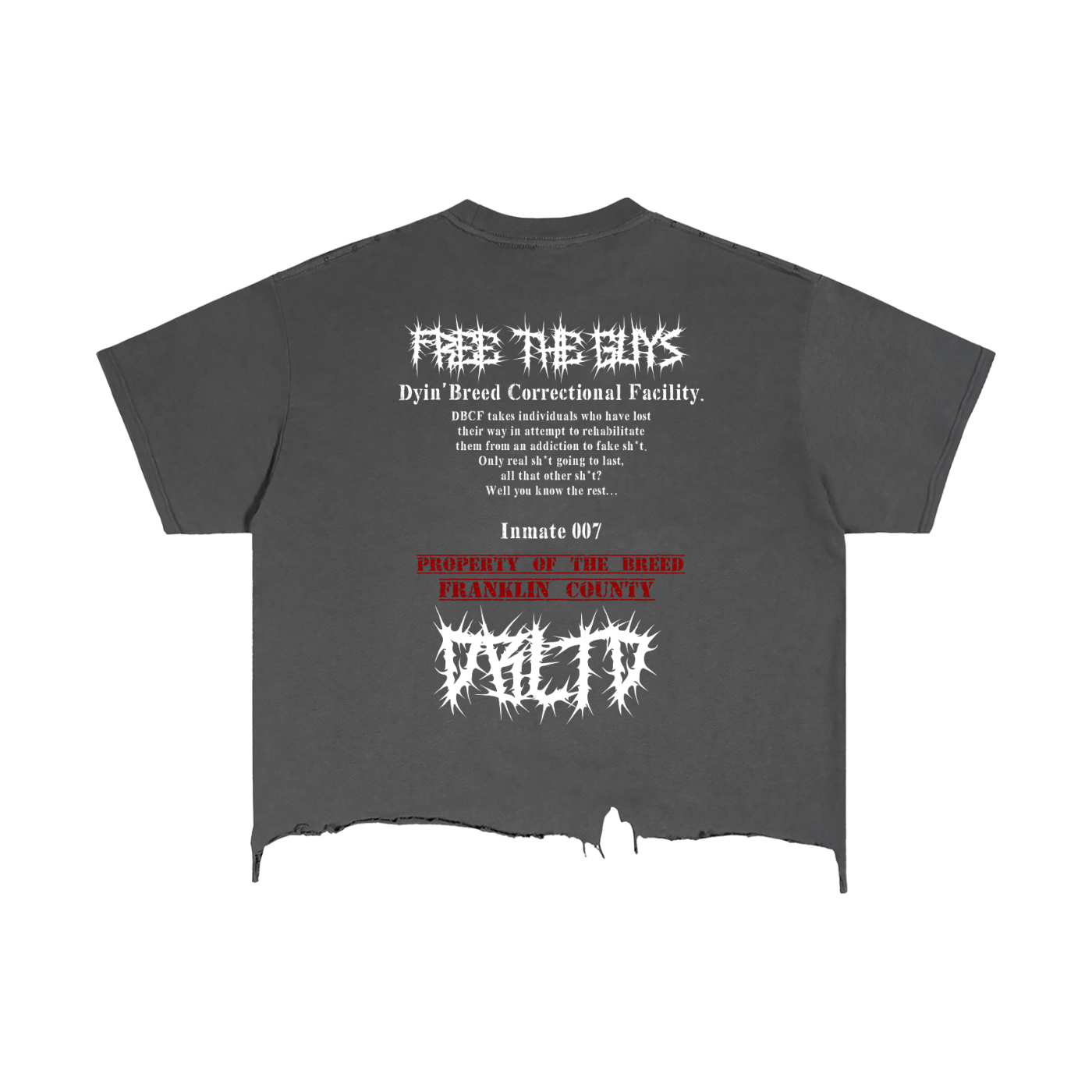 "FREE THE GUYS." Box Fit Distressed Tee