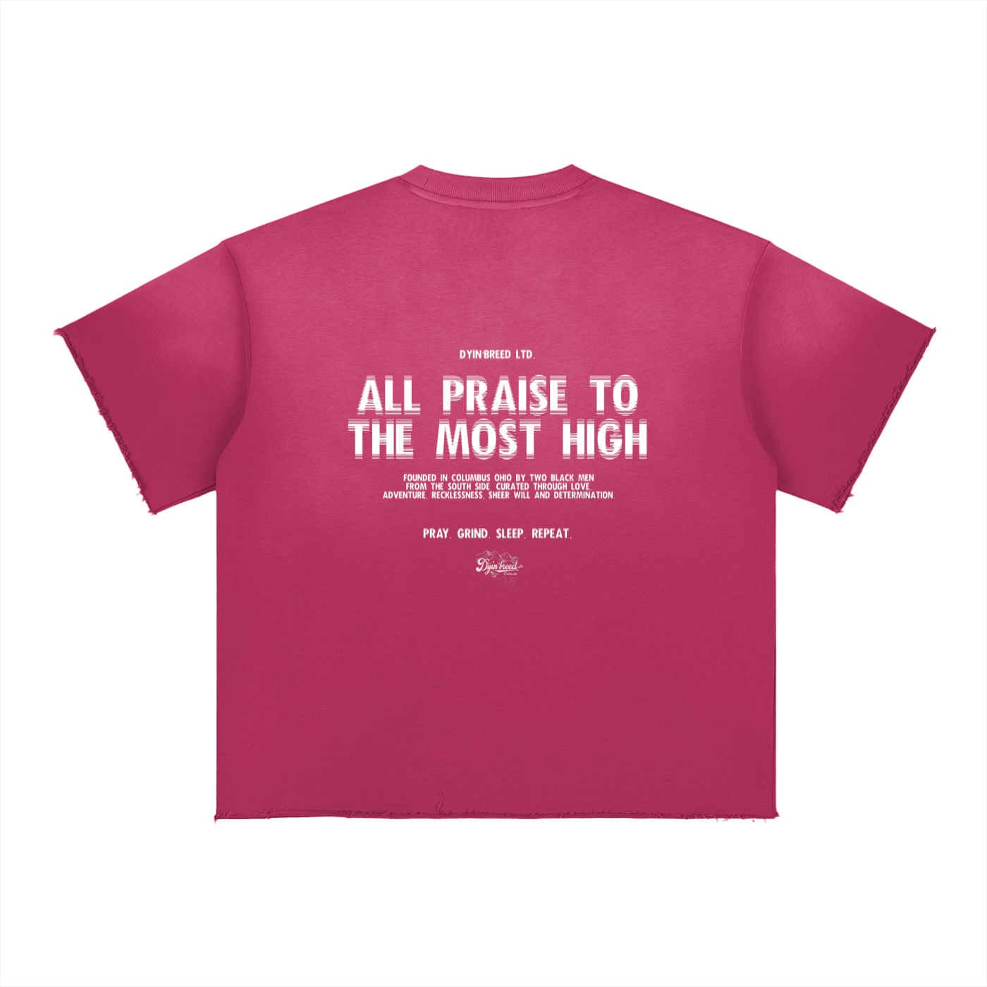 Sun Fade "ALL PRAISE." Raw Edge Tee