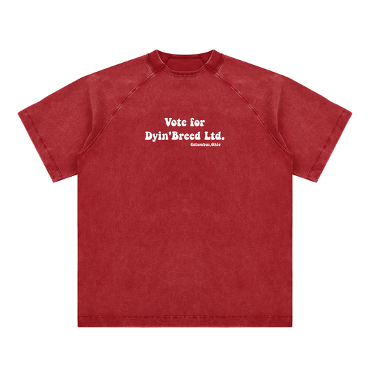 Vintage "VOTE FOR DB." Raglan T-Shirt