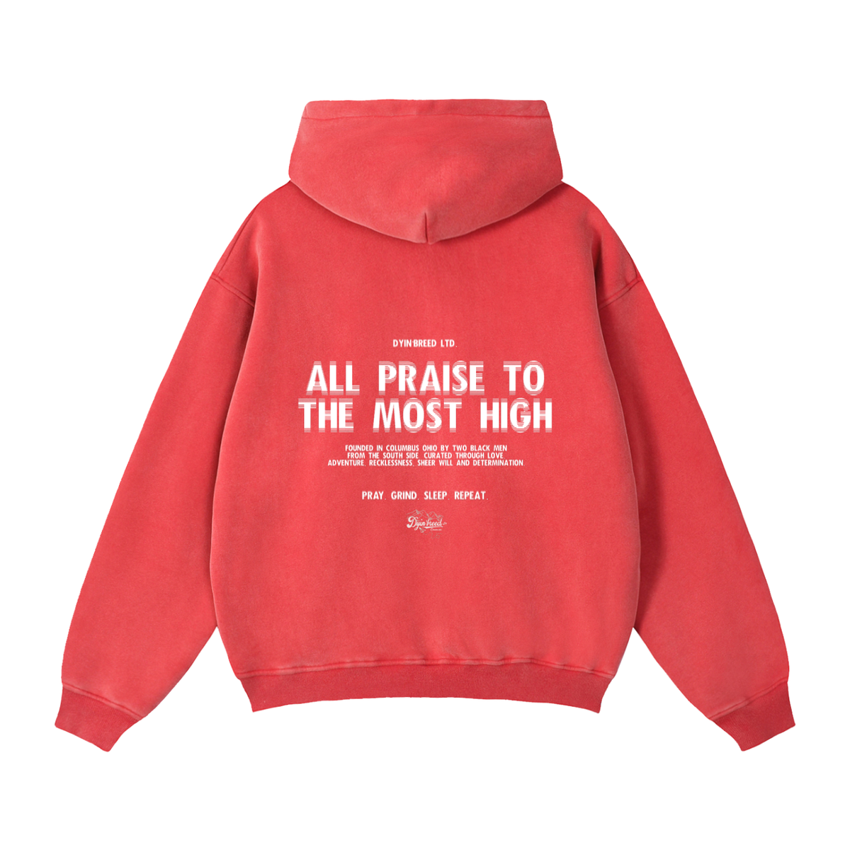 Zip-up "ALL PRAISE." Box Fit Hoodie