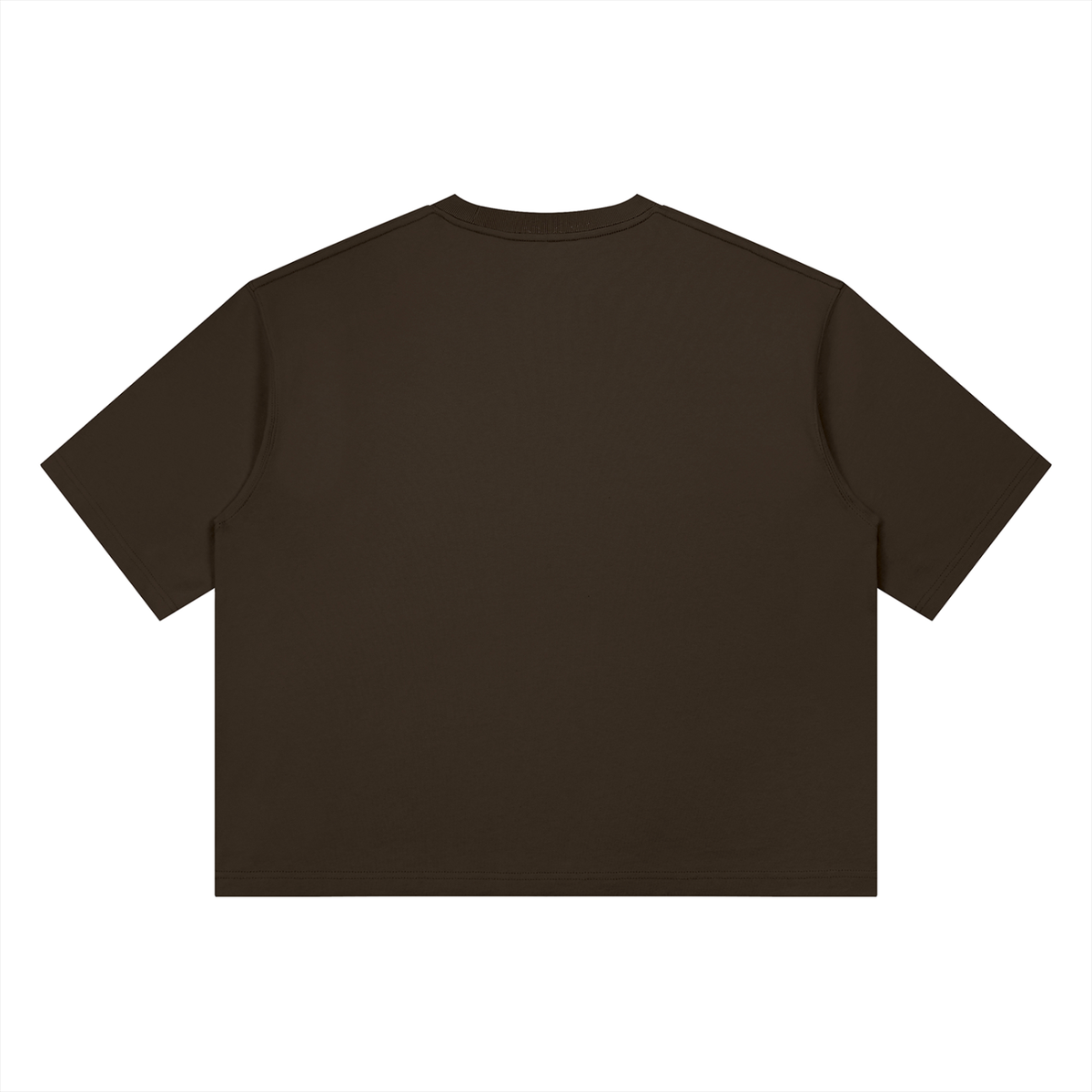 Heavyweight Box Fit “ CHRIS BROWN.” Ter