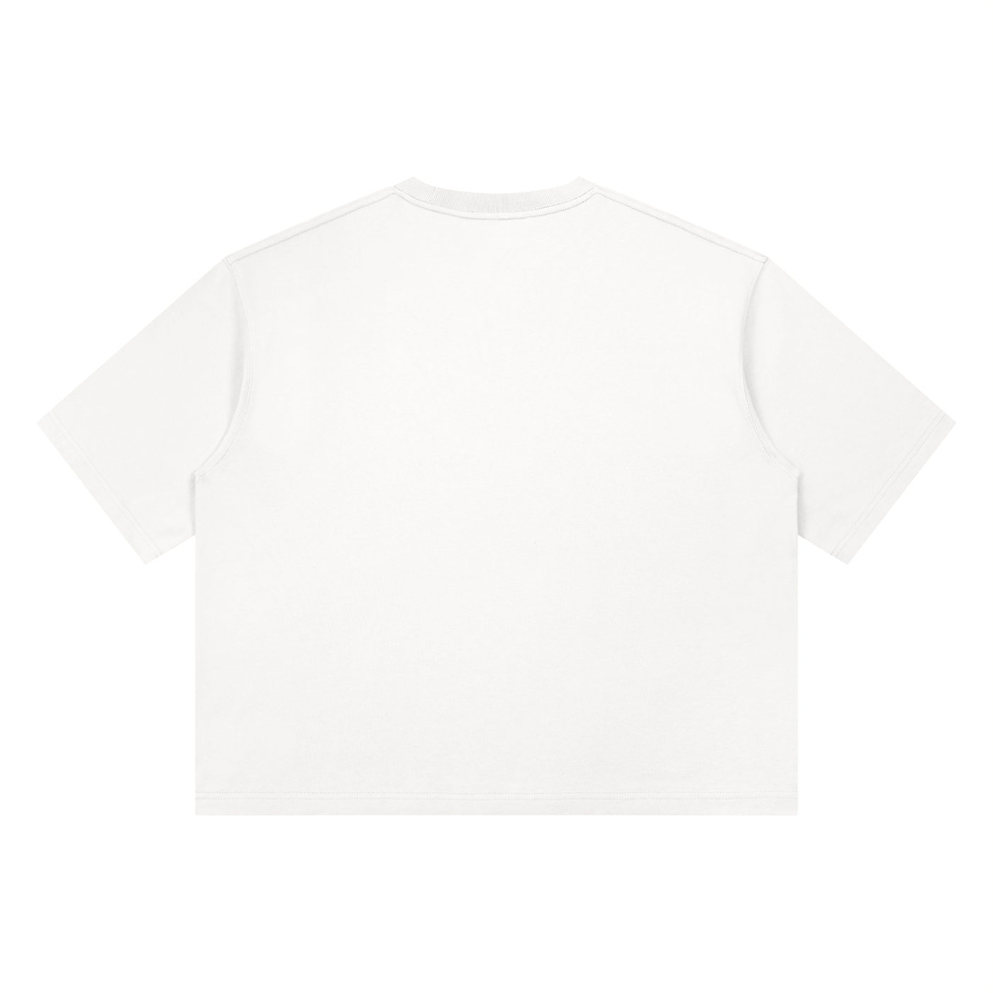 Heavyweight Box Fit “ CHRIS BROWN.” Ter