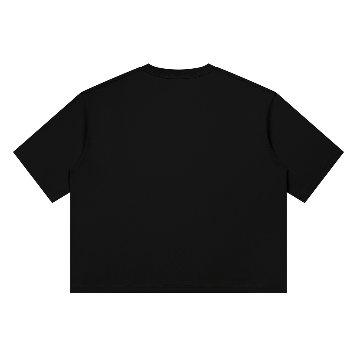 Heavyweight Box Fit “ CHRIS BROWN.” Ter
