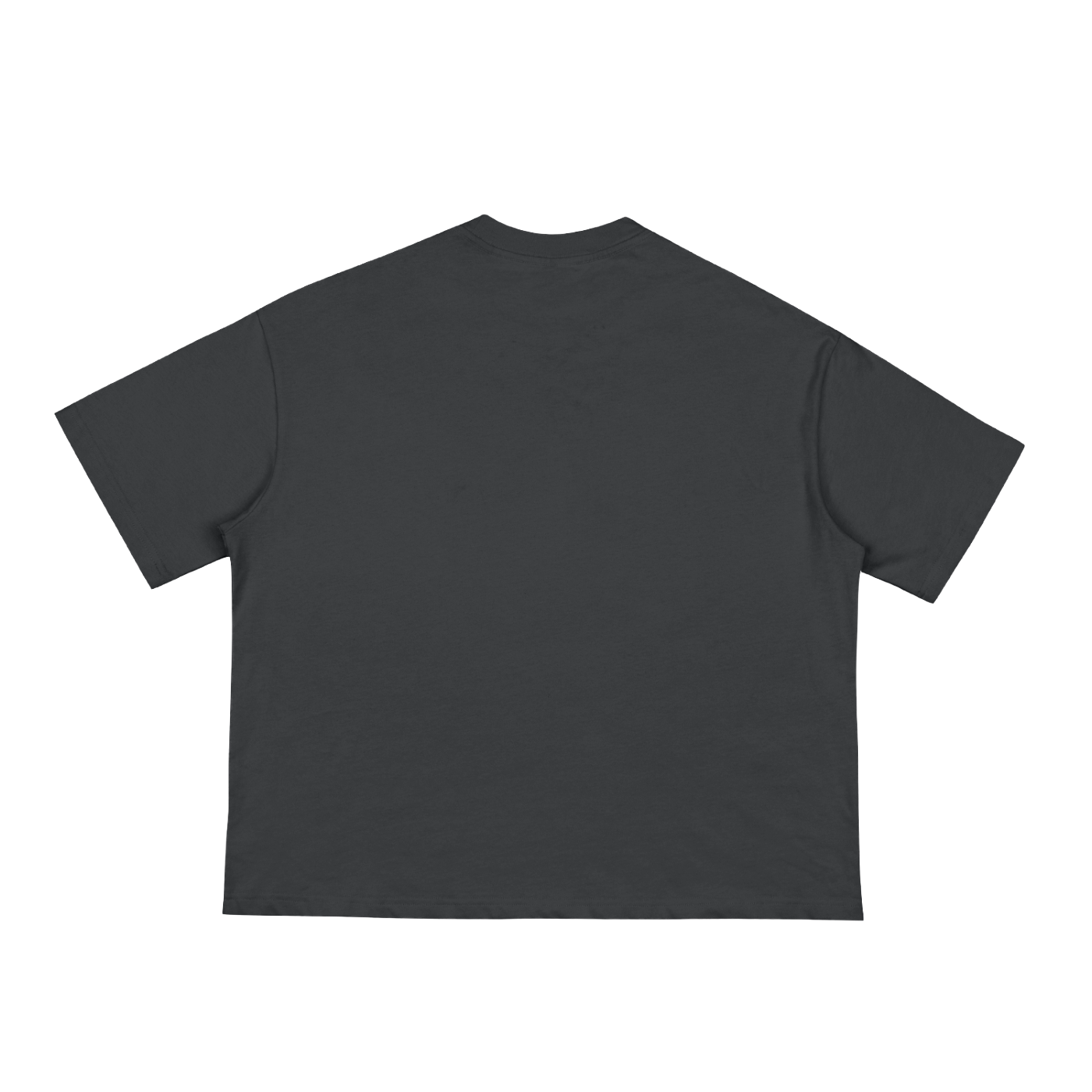 Classic “COOLER HEADS.” Loose Box Fit Tee