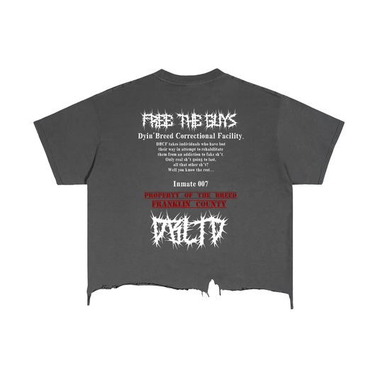 "FREE THE GUYS." Box Fit Distressed Tee
