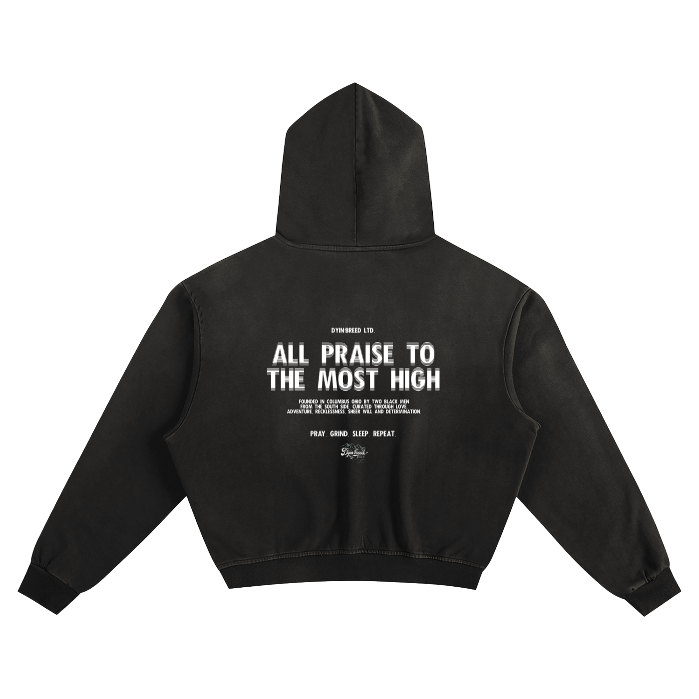 "Blurrr" x "All praise" Box Fit Hoodie